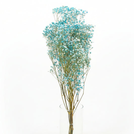 planta natural flor paniculata