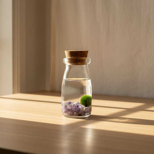Marimo Spirit – Amatista Calma y Protección