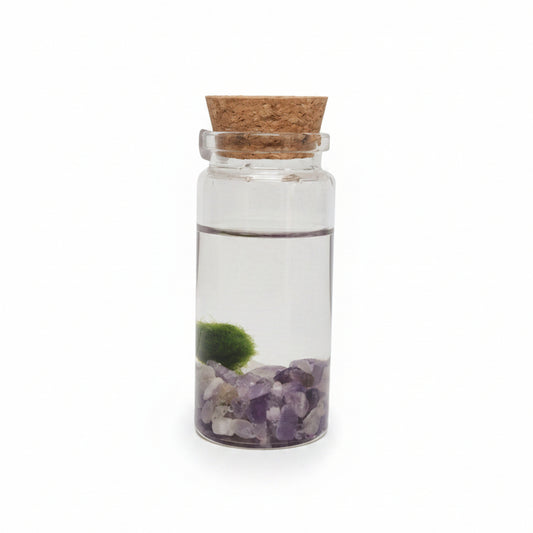 marimo spirit cuarzo rosa