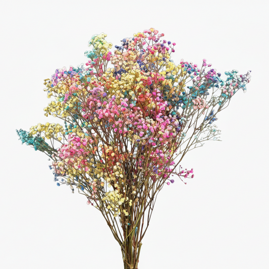 paniculata-flor-multicolor