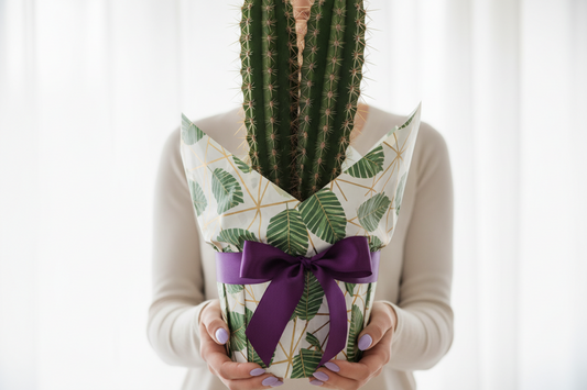 Plantas para regalar: ideas originales y duraderas para sorprender
