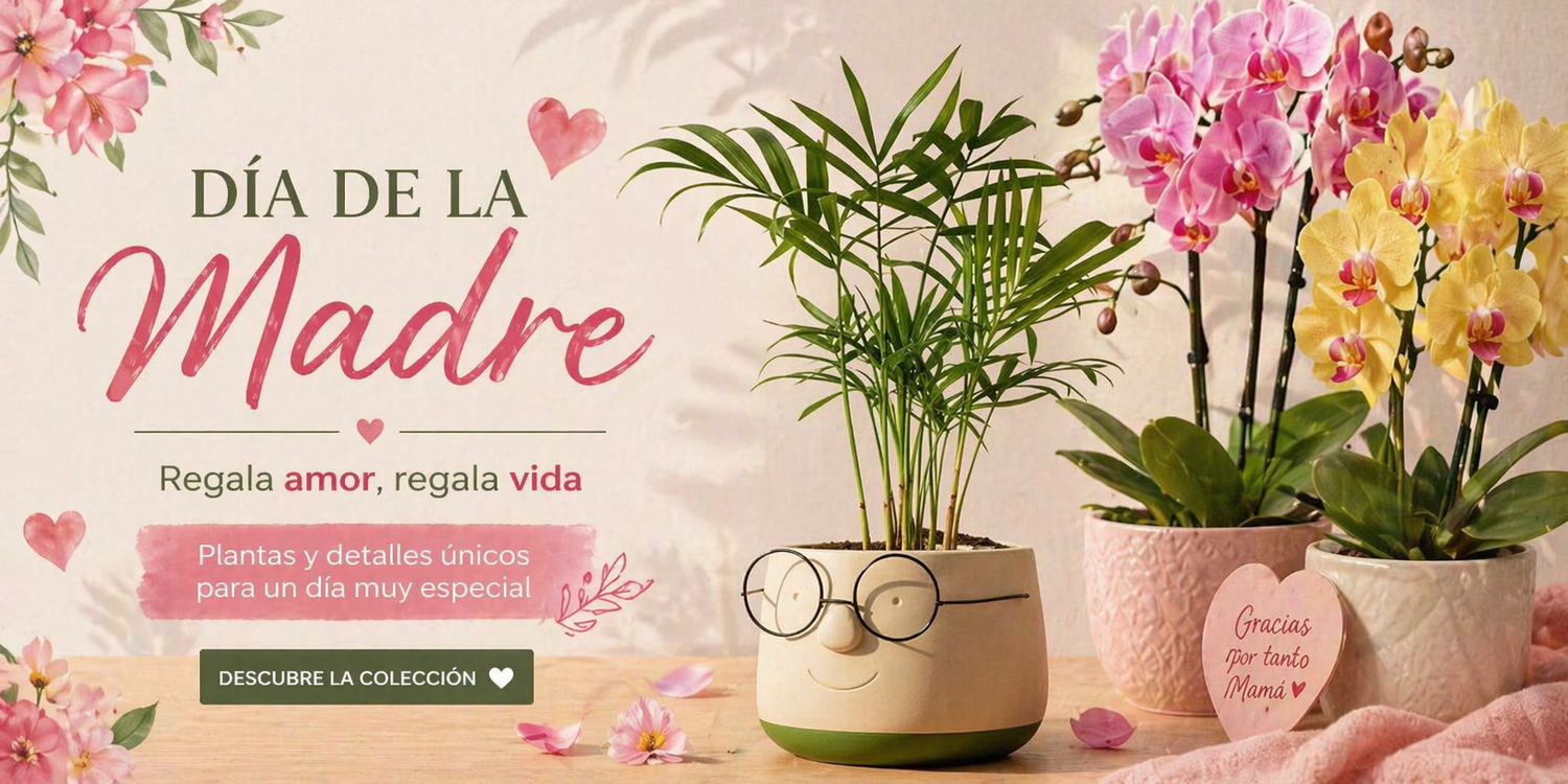 Regalos Día de la Madre 🌸