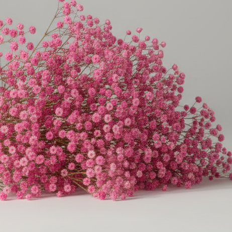 flor-preservada-paniculata