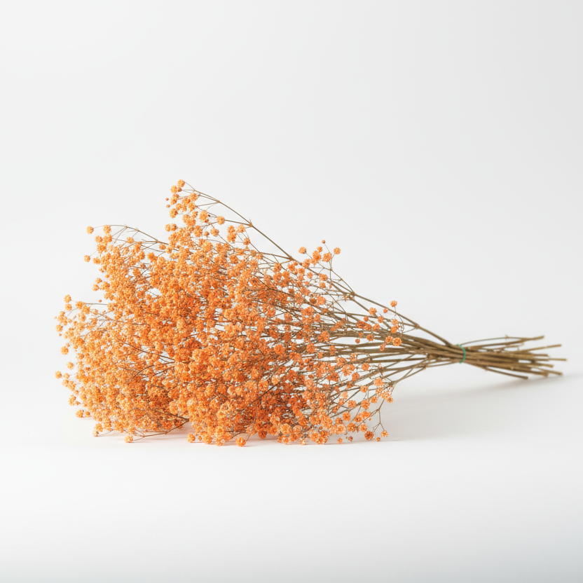 paniculata-flor-naranja