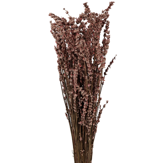 Lavanda Rosa Preservada