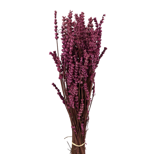 Lavanda Fucsia Preservada