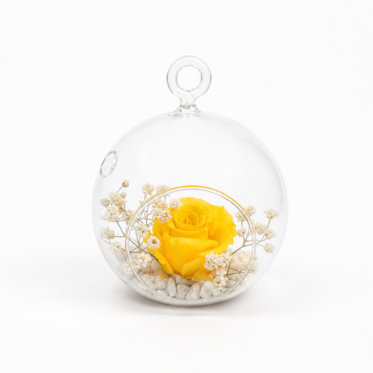 Cúpula con Rosa Amarilla y Paniculata Preservada (Rosa Eterna)