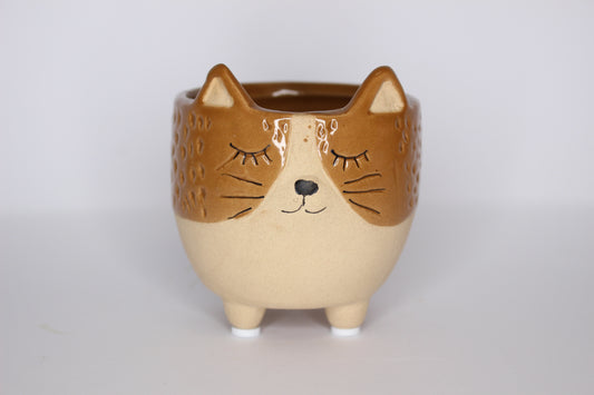Macetero gatito cerámica mini