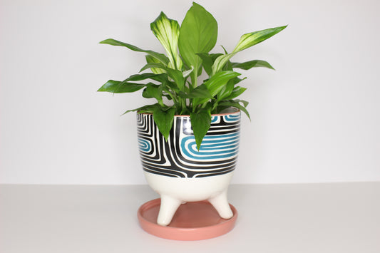 Macetero Diseño con Plato