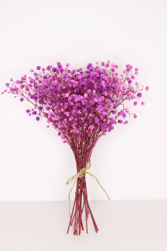 Ramillete Paniculata Fucsia Preservada