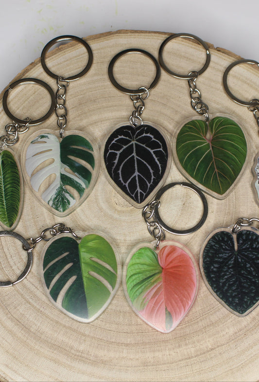 Llaveros plantas de colección