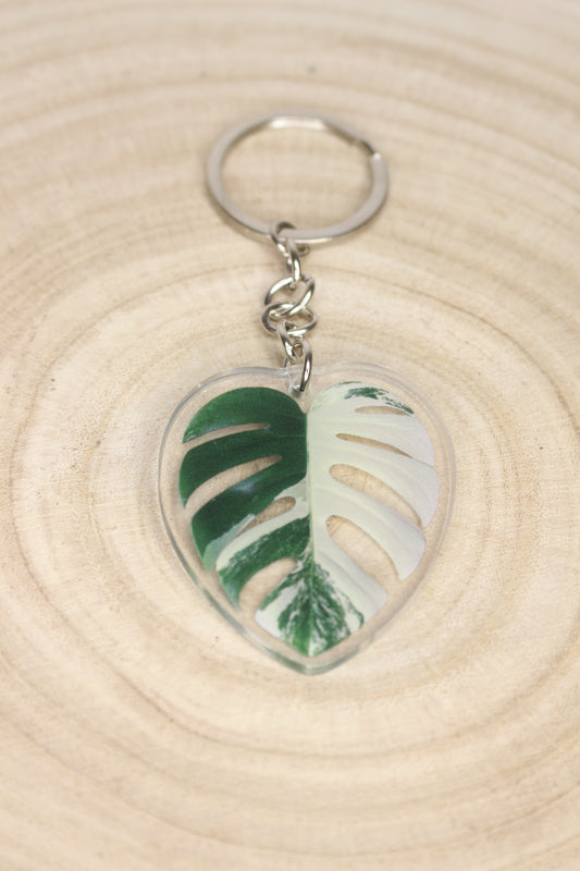 Llaveros plantas de colección
