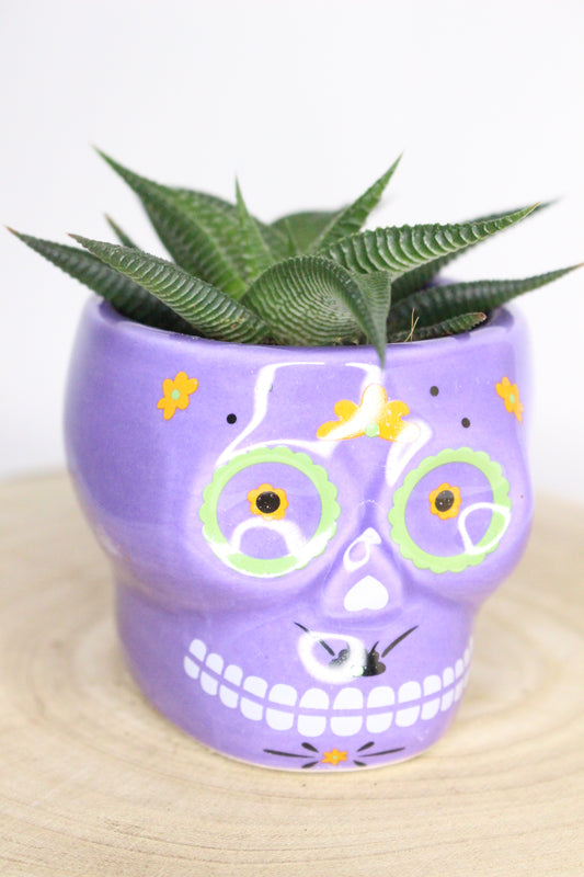 Macetero Calavera Mexicana Lila