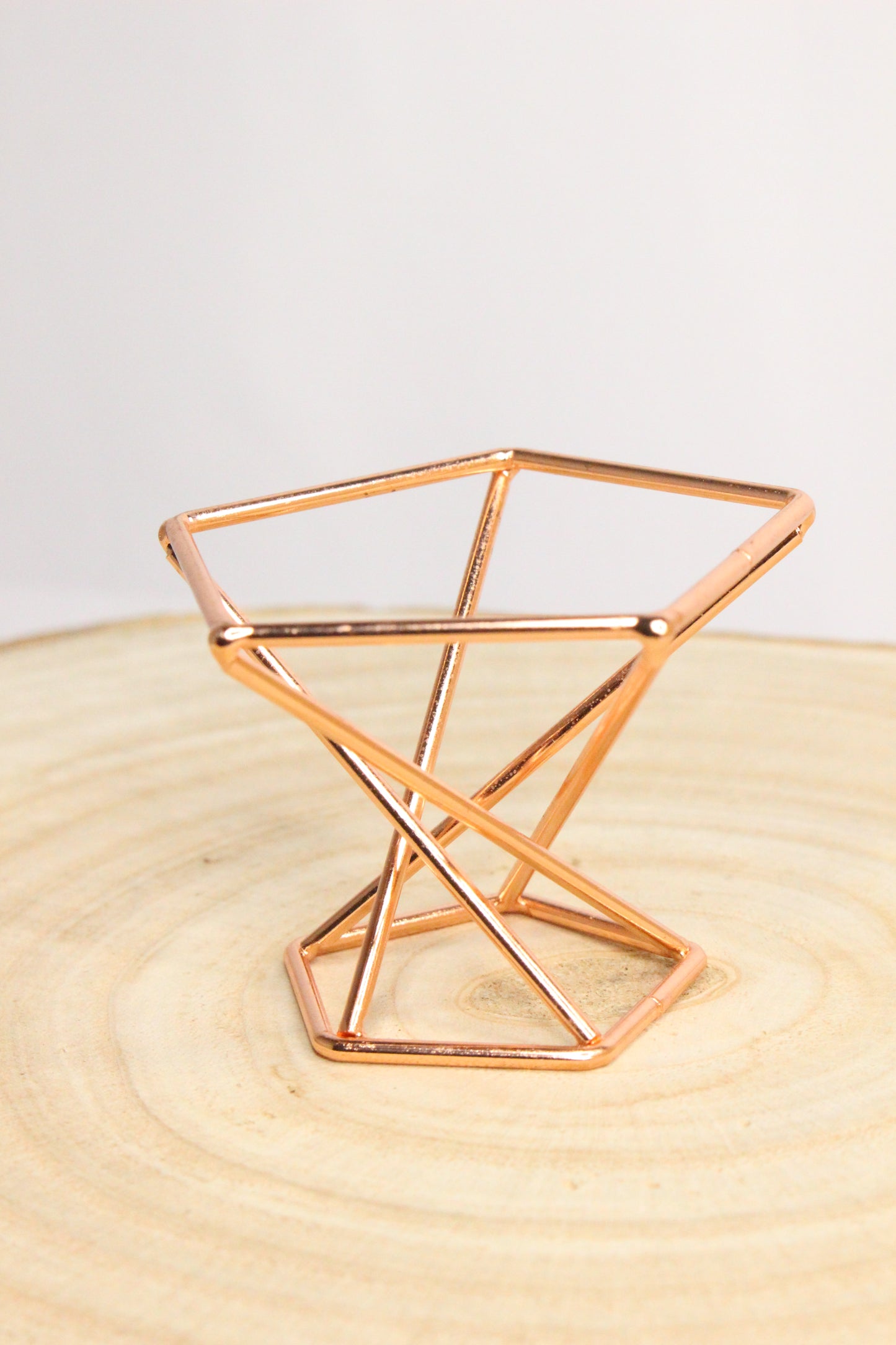 Tillandsia Soporte Metal