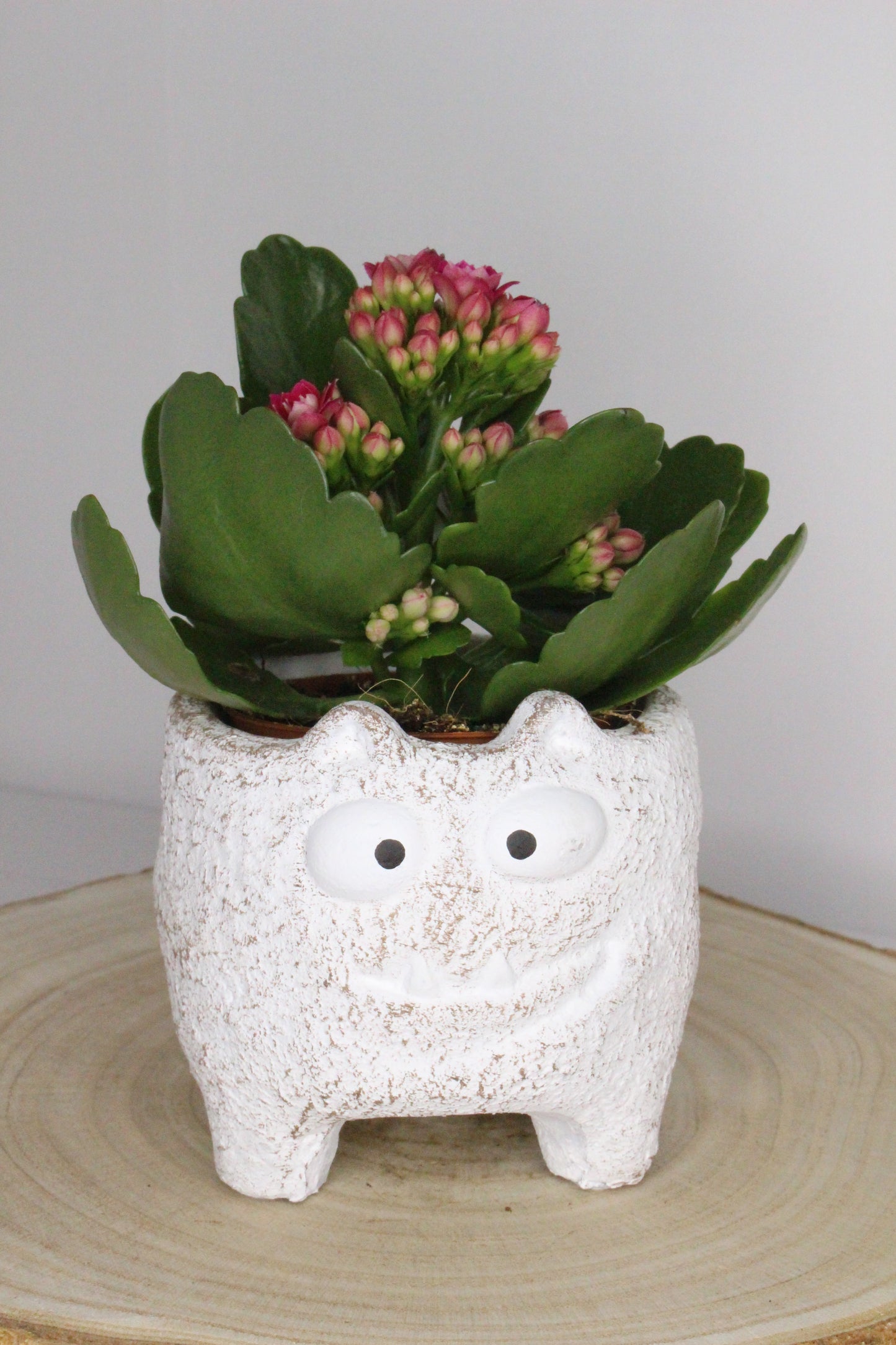 Maceta Monstruito Blanco