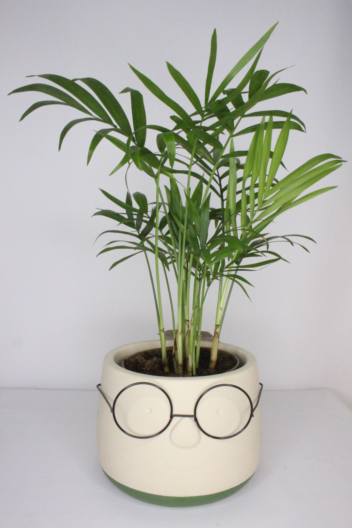 Macetero Gafas M