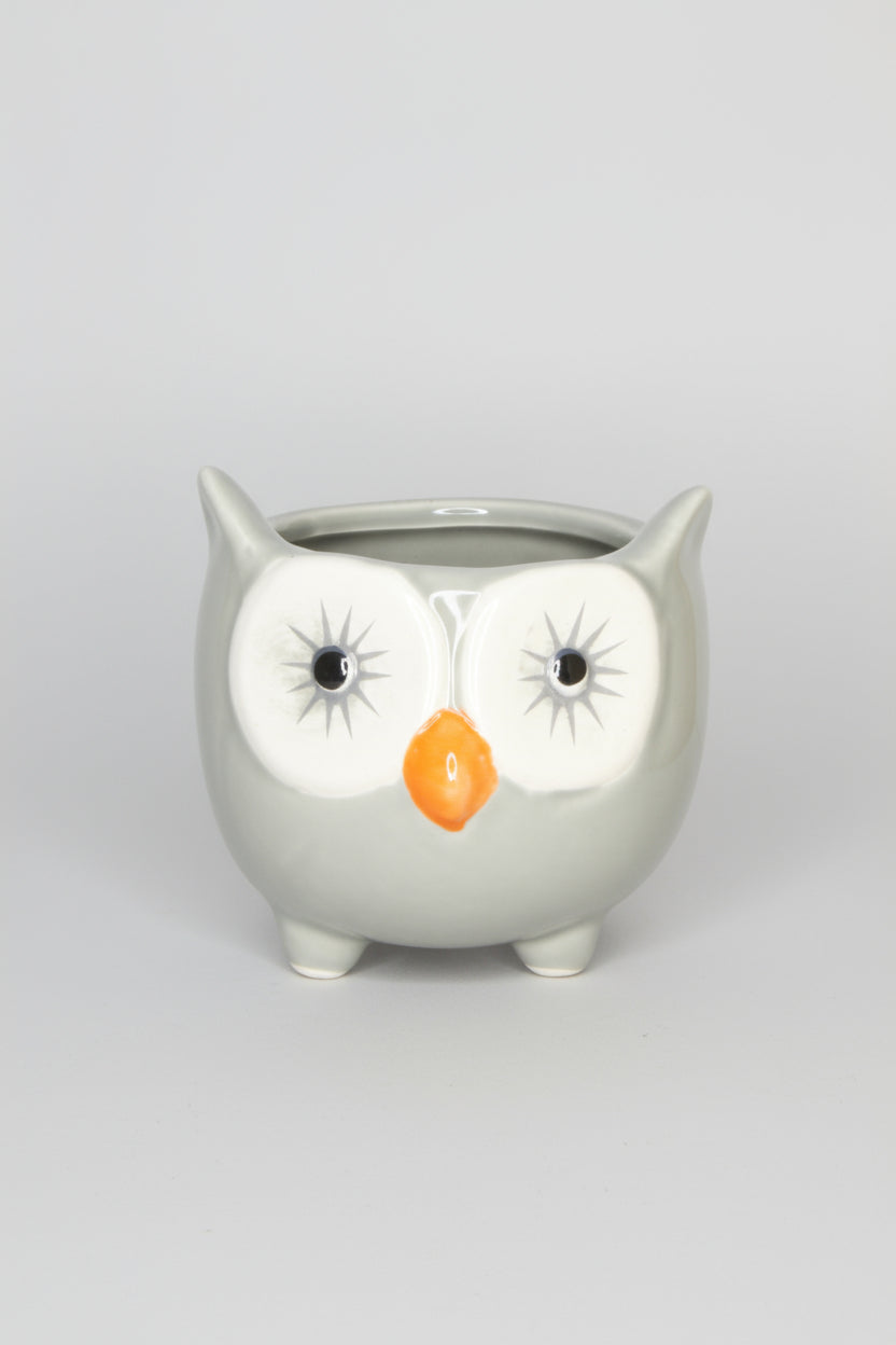 Macetero Mini Búho