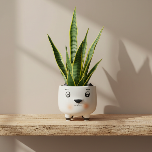 macetero-perrito-decorativo