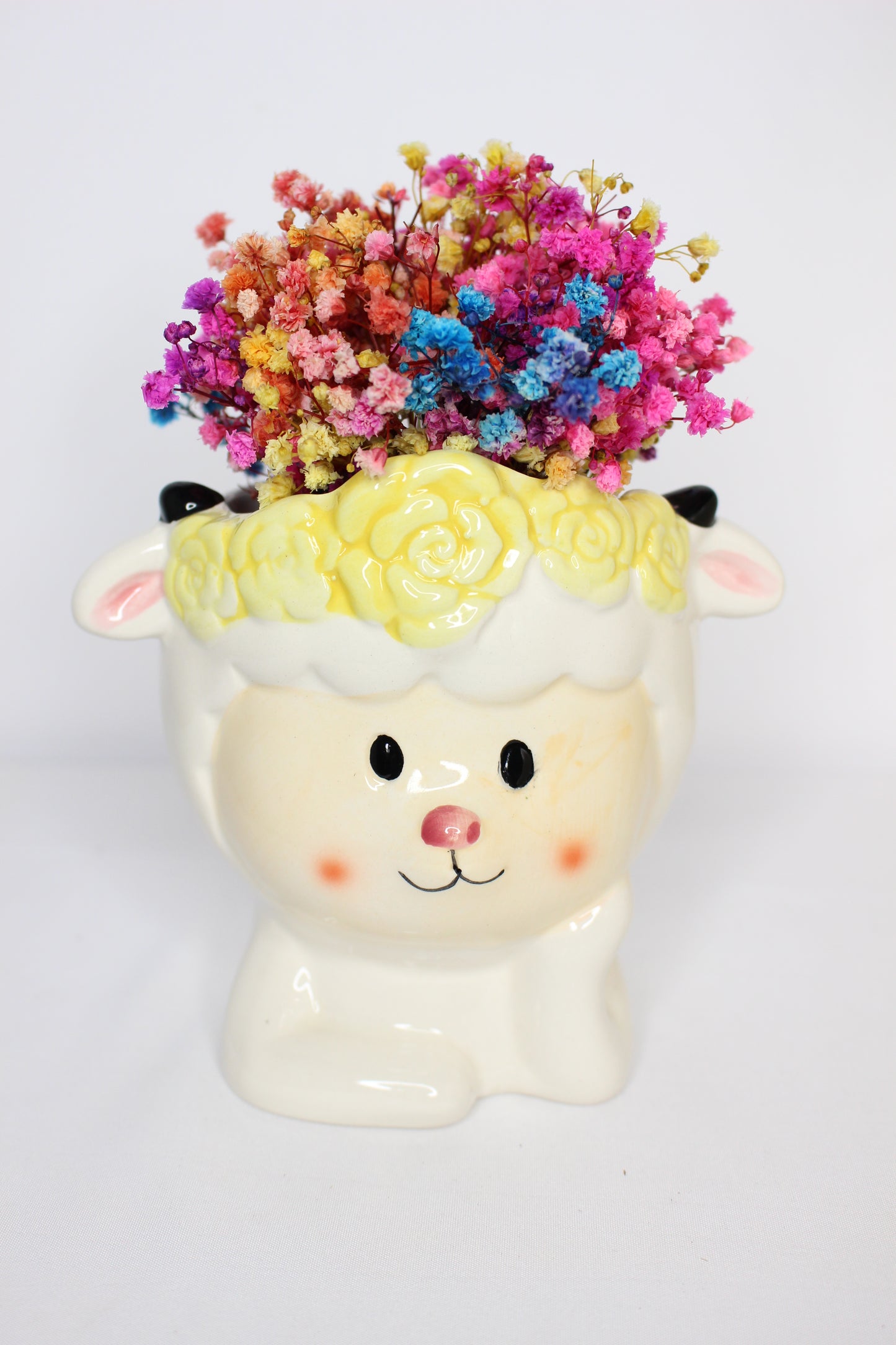 Ramillete Paniculata Rainbow Preservada S