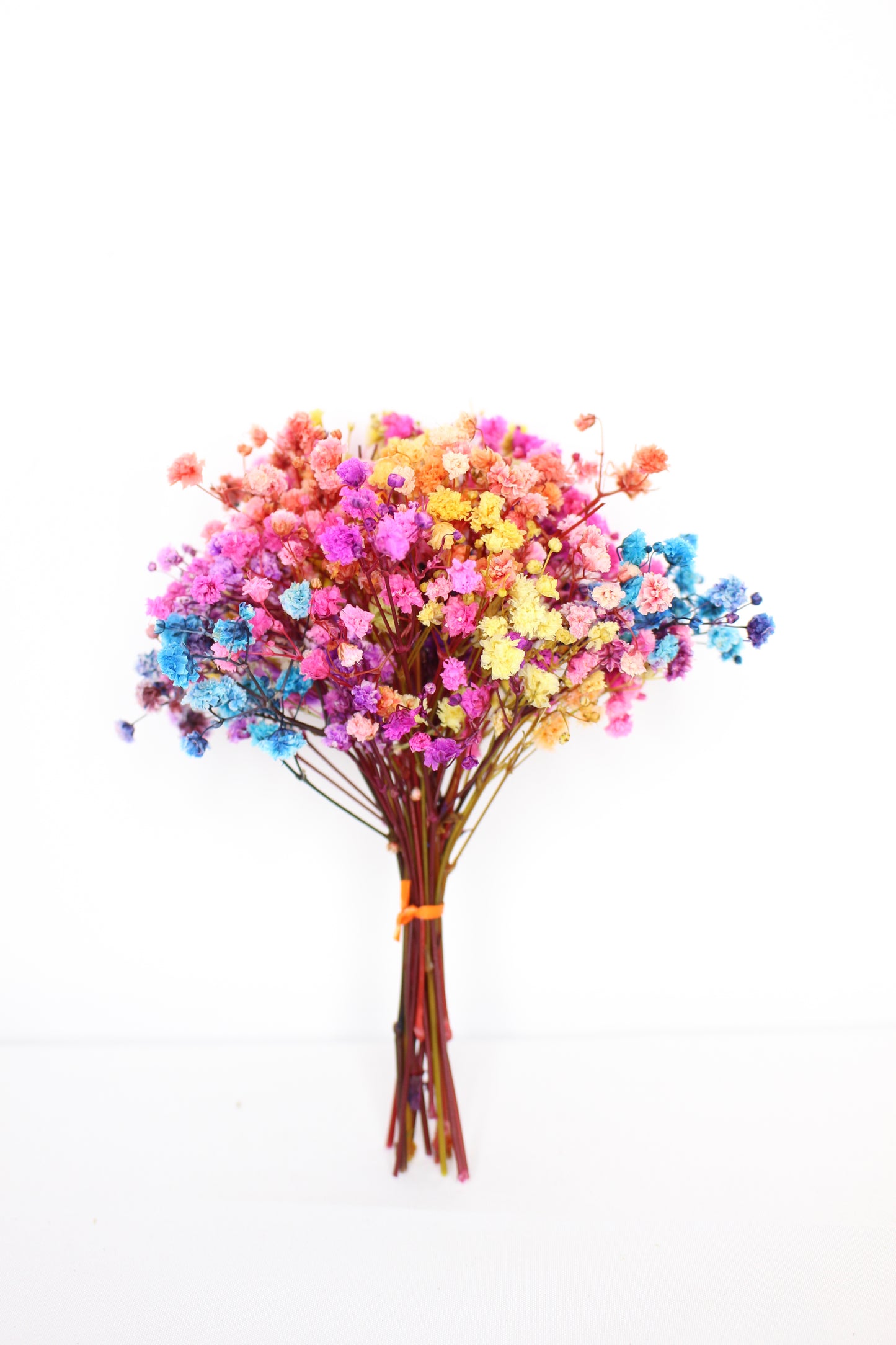 Ramillete Paniculata Rainbow Preservada S