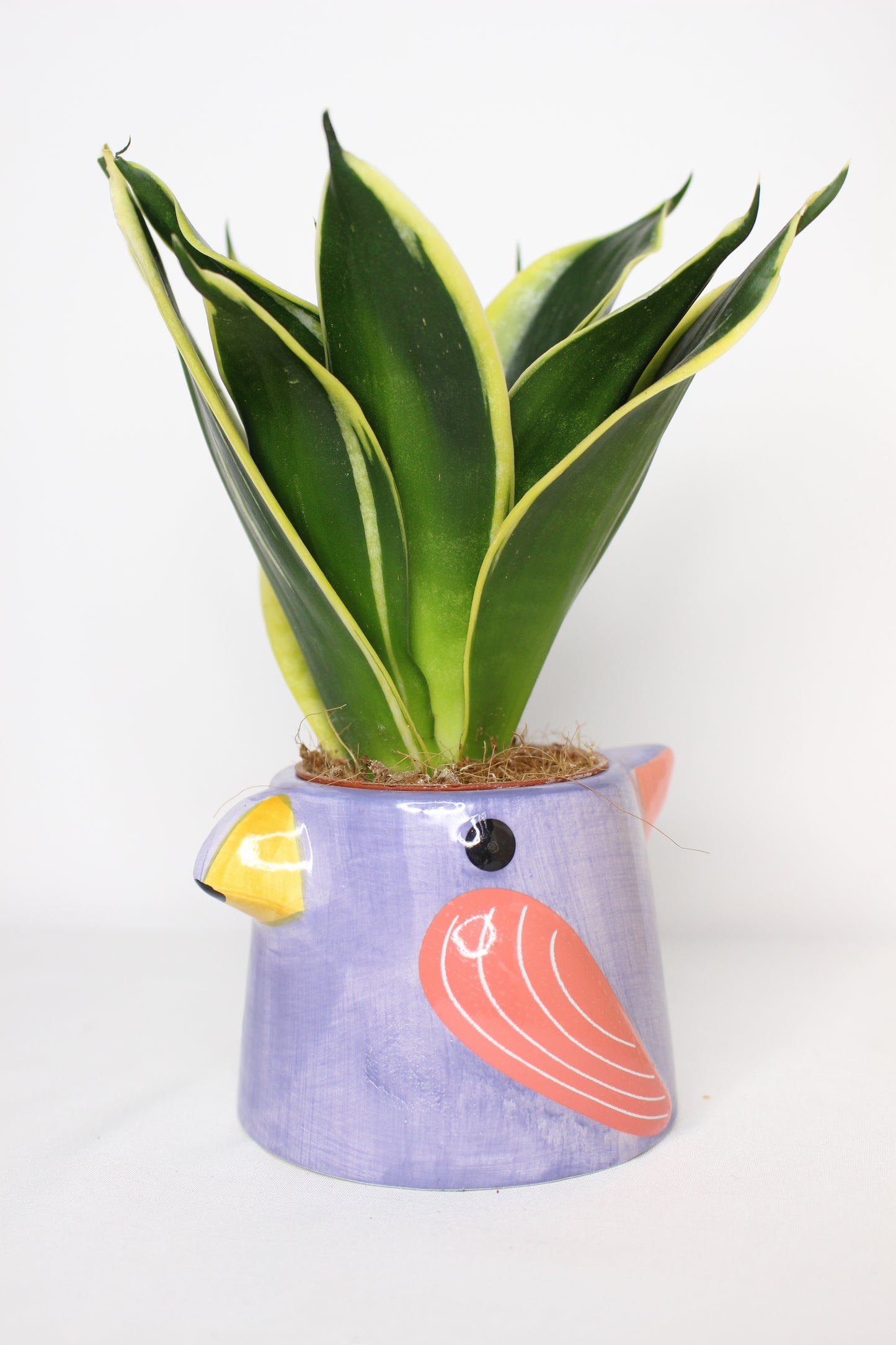 Macetero Mini Pajarito Lila