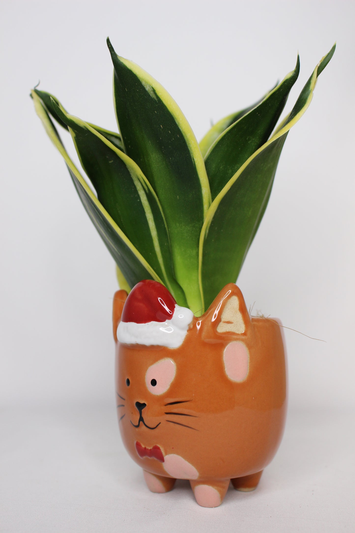 Macetero Mini Navideño Gato Naranja