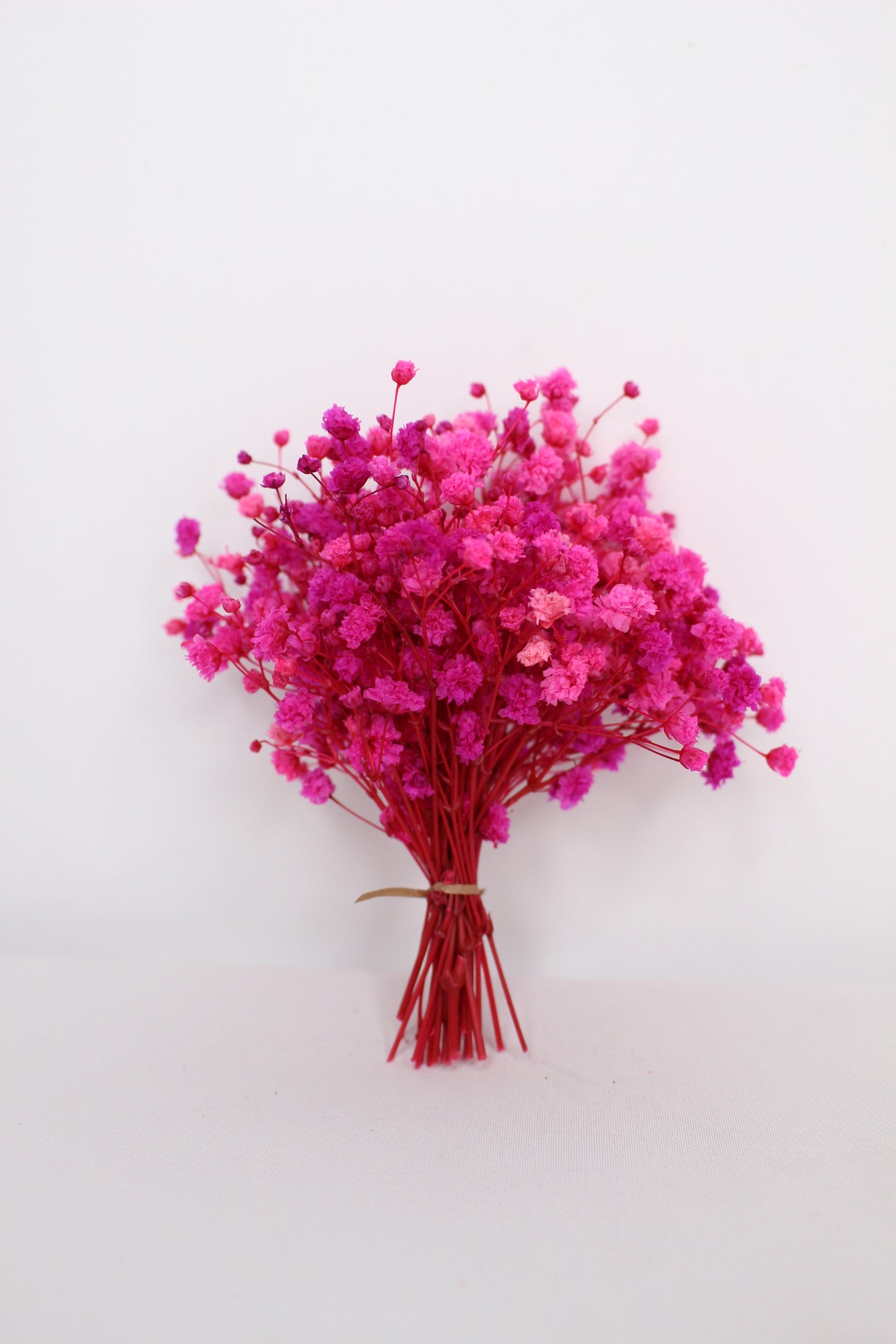 Ramillete Paniculata Fucsia Preservada S