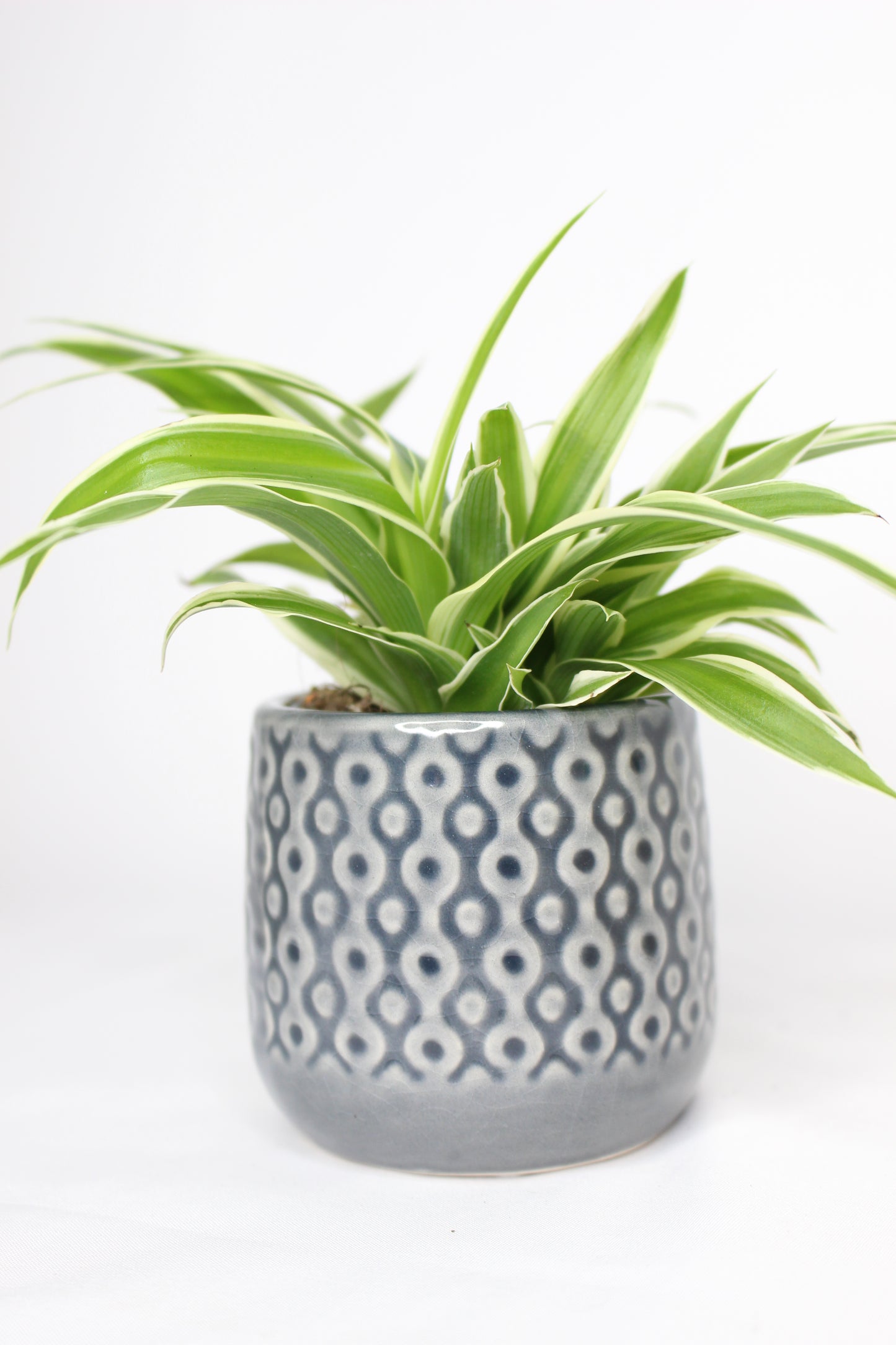 Macetero Mini Eter Azul