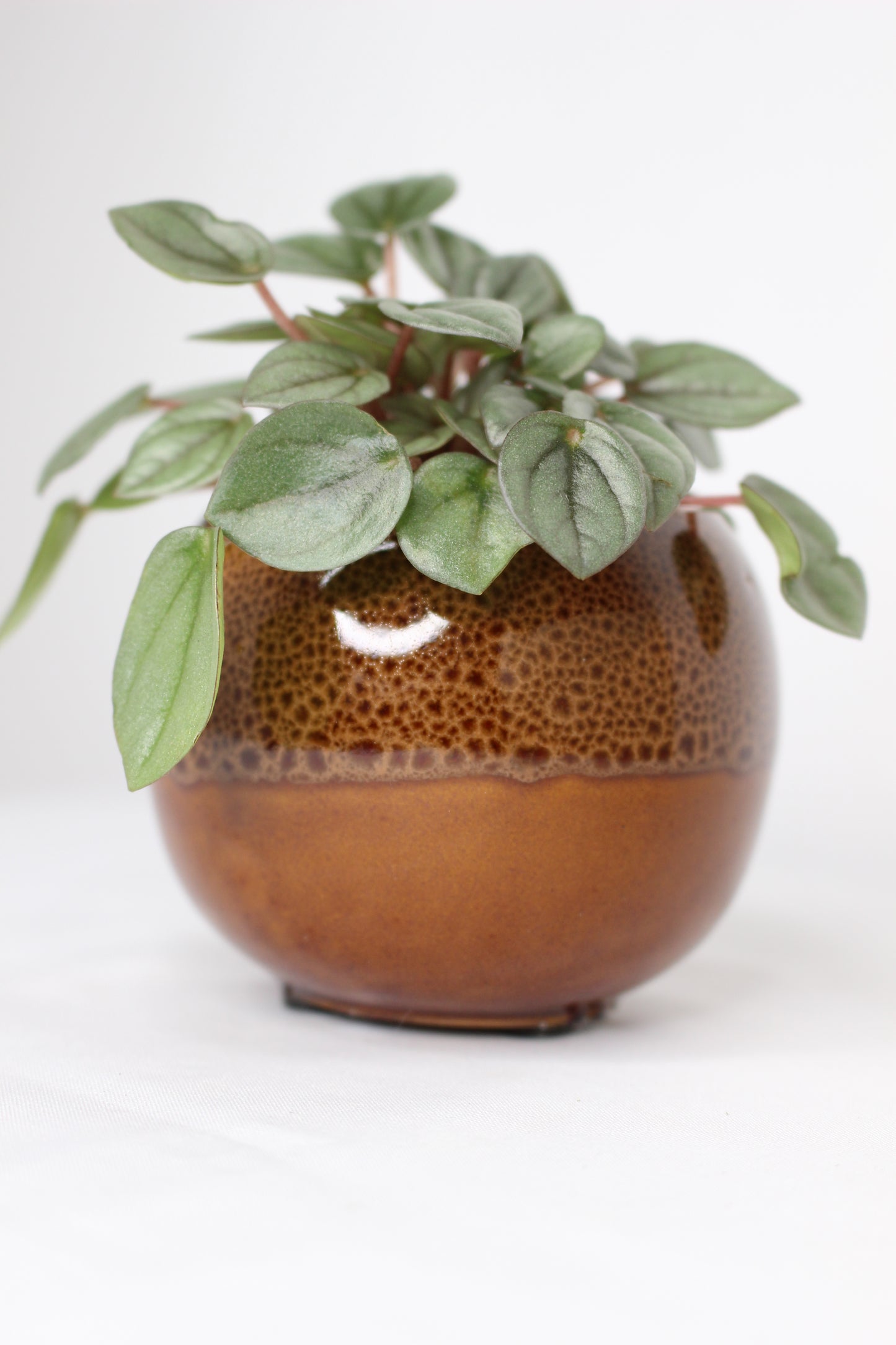 Macetero Mini Japan Marrón