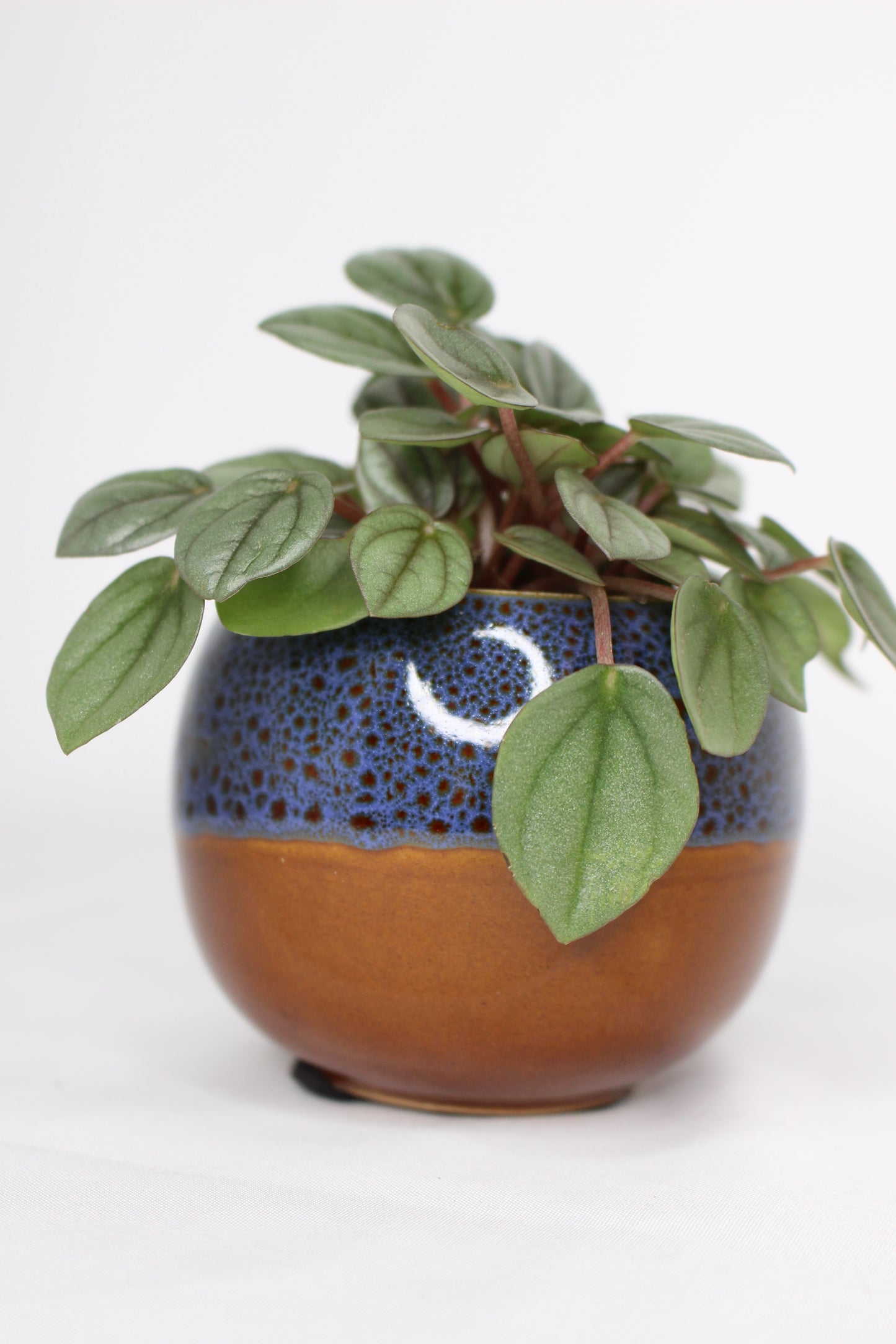 Macetero Mini Japan Azul