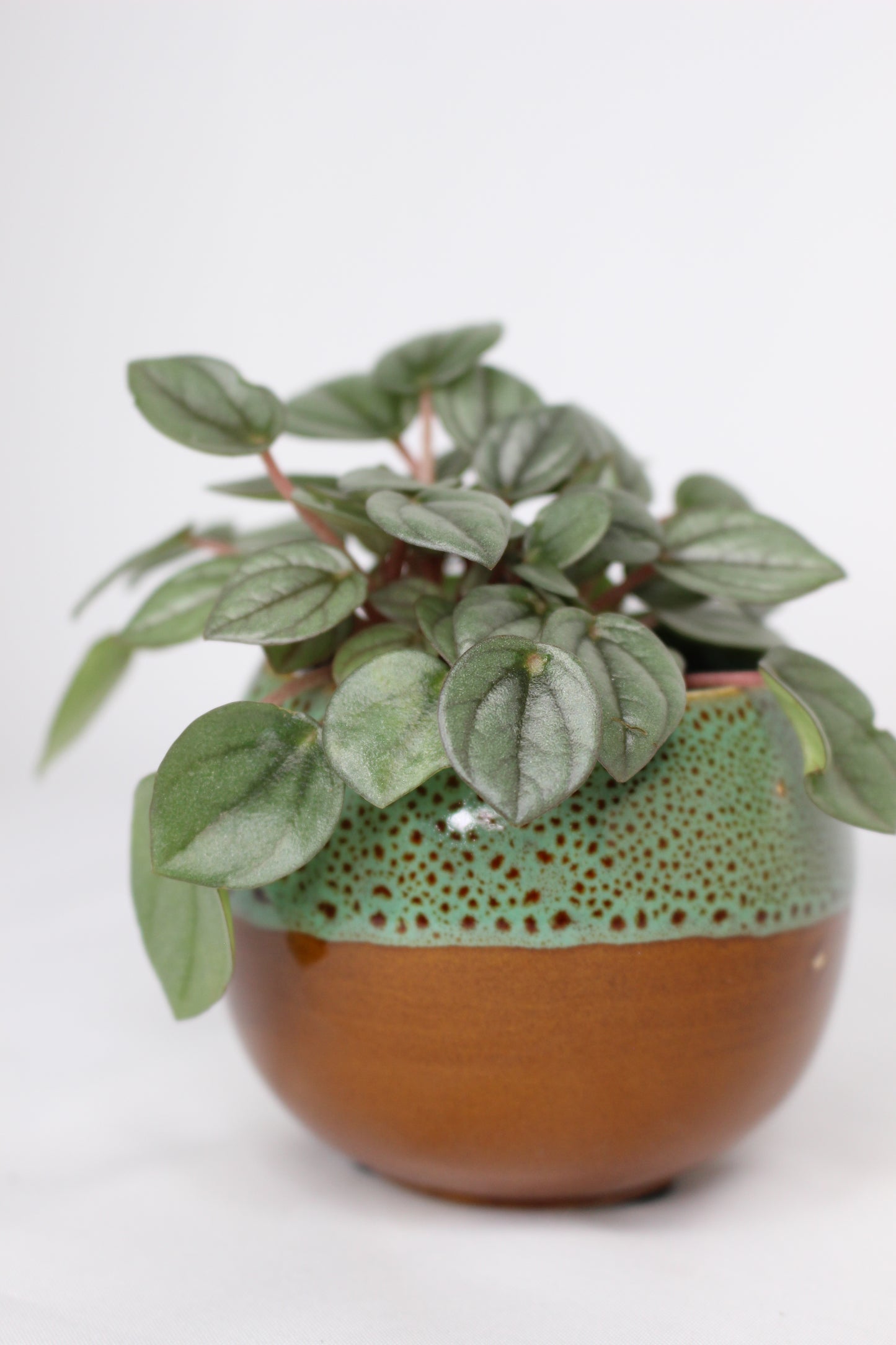 Macetero Mini Japan Verde