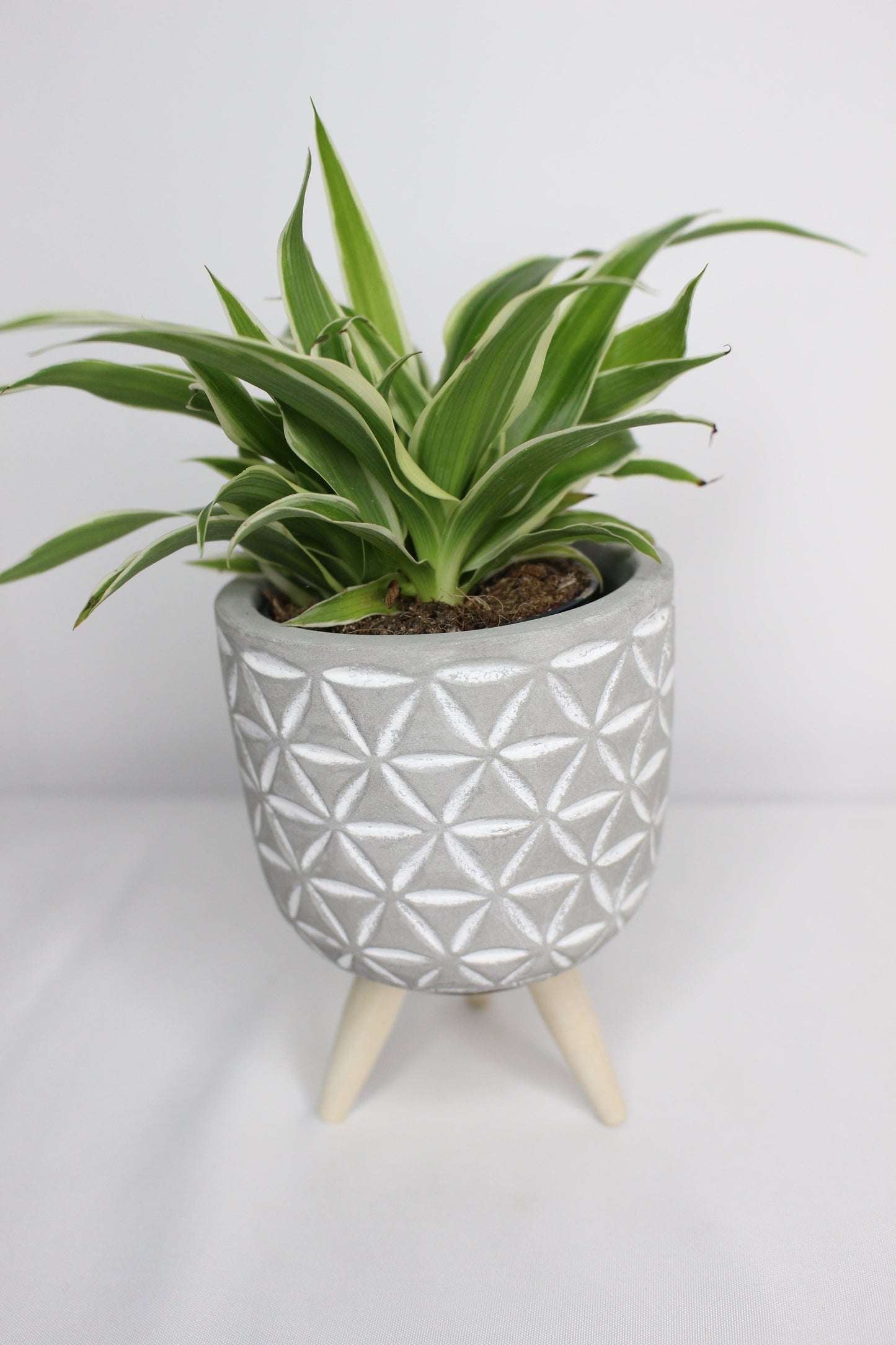 Macetero Mini Patas Triángulos