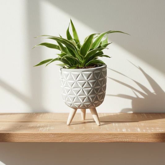 macetero-decorativo-moderno