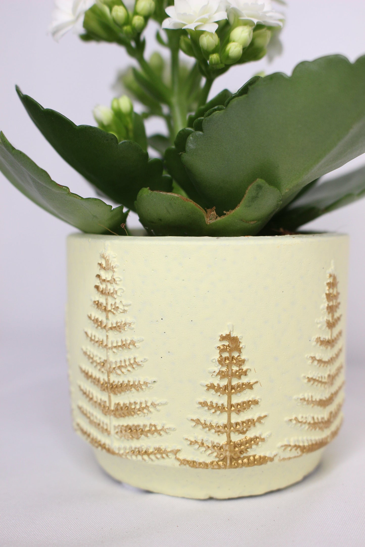 Macetero Mini Árbolito Navidad Beig