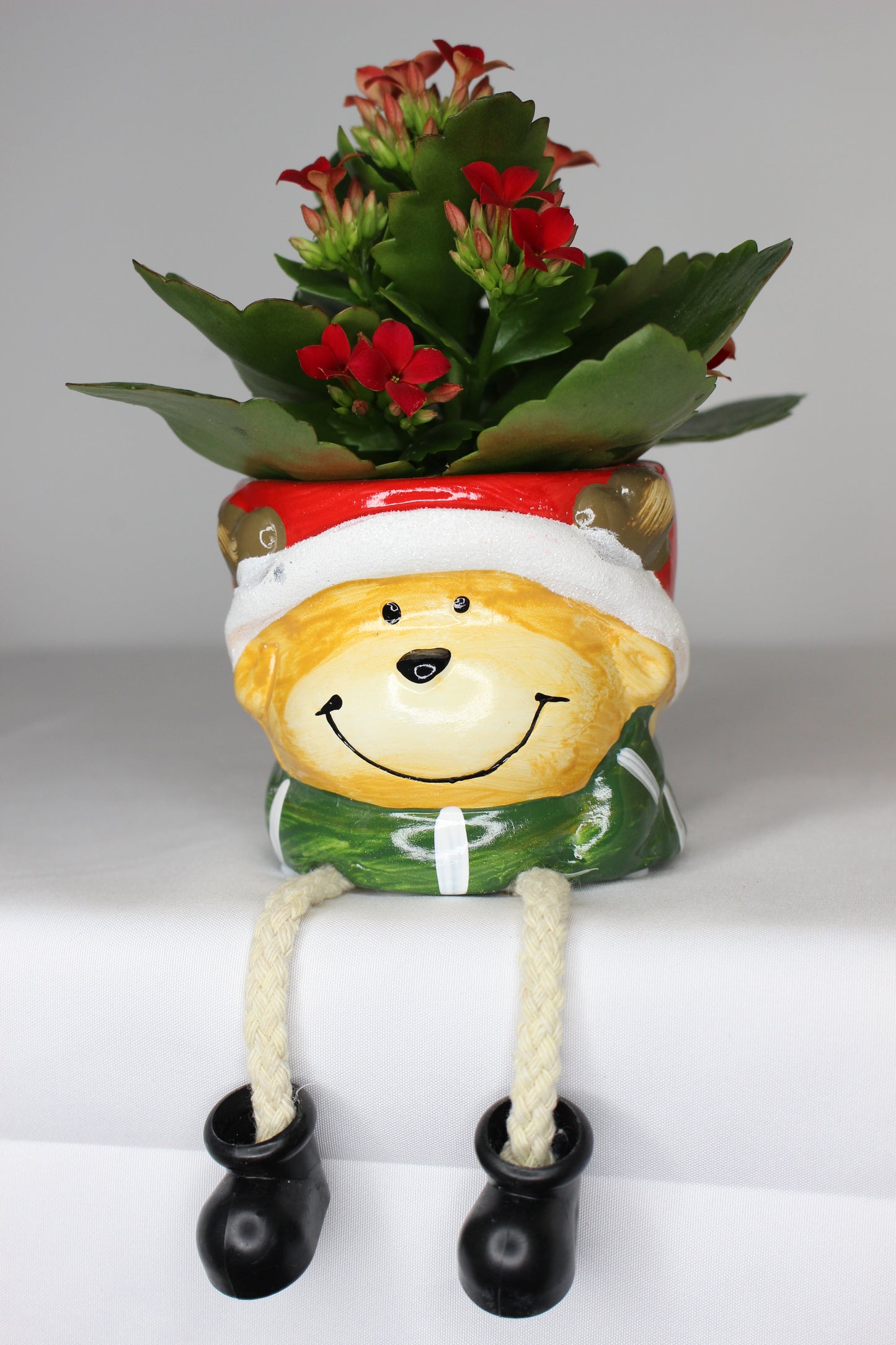 Pack Navideño Macetero Reno Patas + Planta Kalanchoe Roja