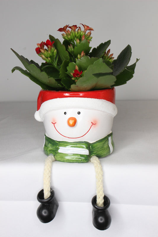 Pack Navideño Macetero Muñeco Nieve Patas + Planta Kalanchoe Roja