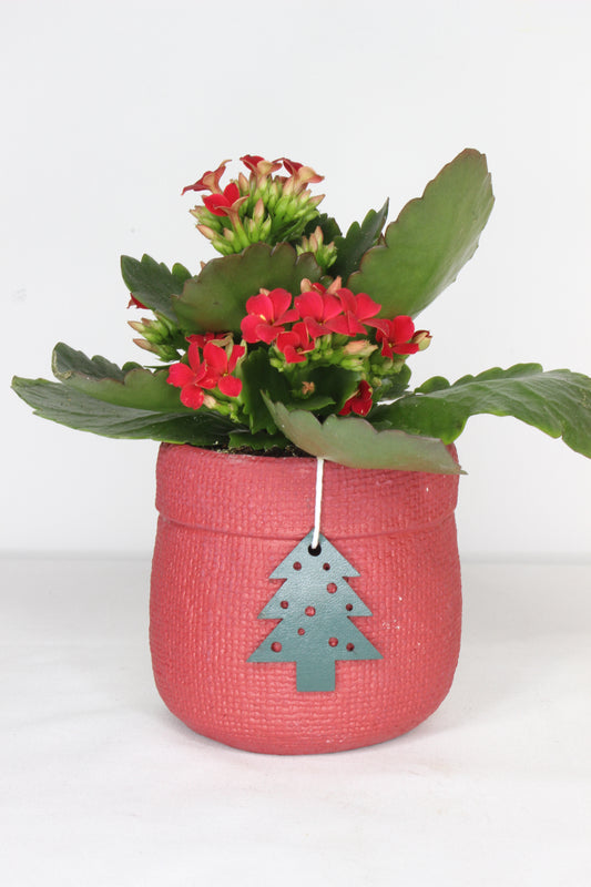 Macetero Navideño Rojo Árbol