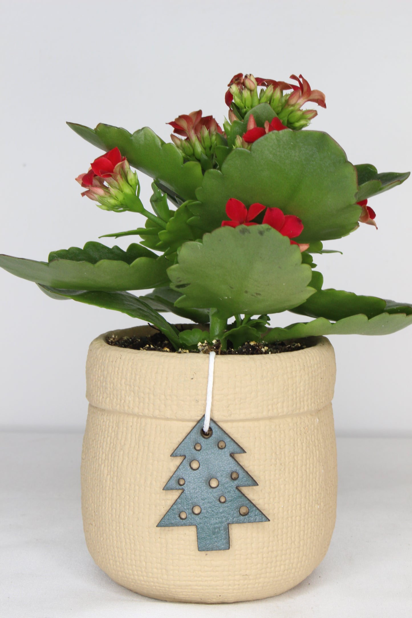 Macetero Navideño Beig Árbol