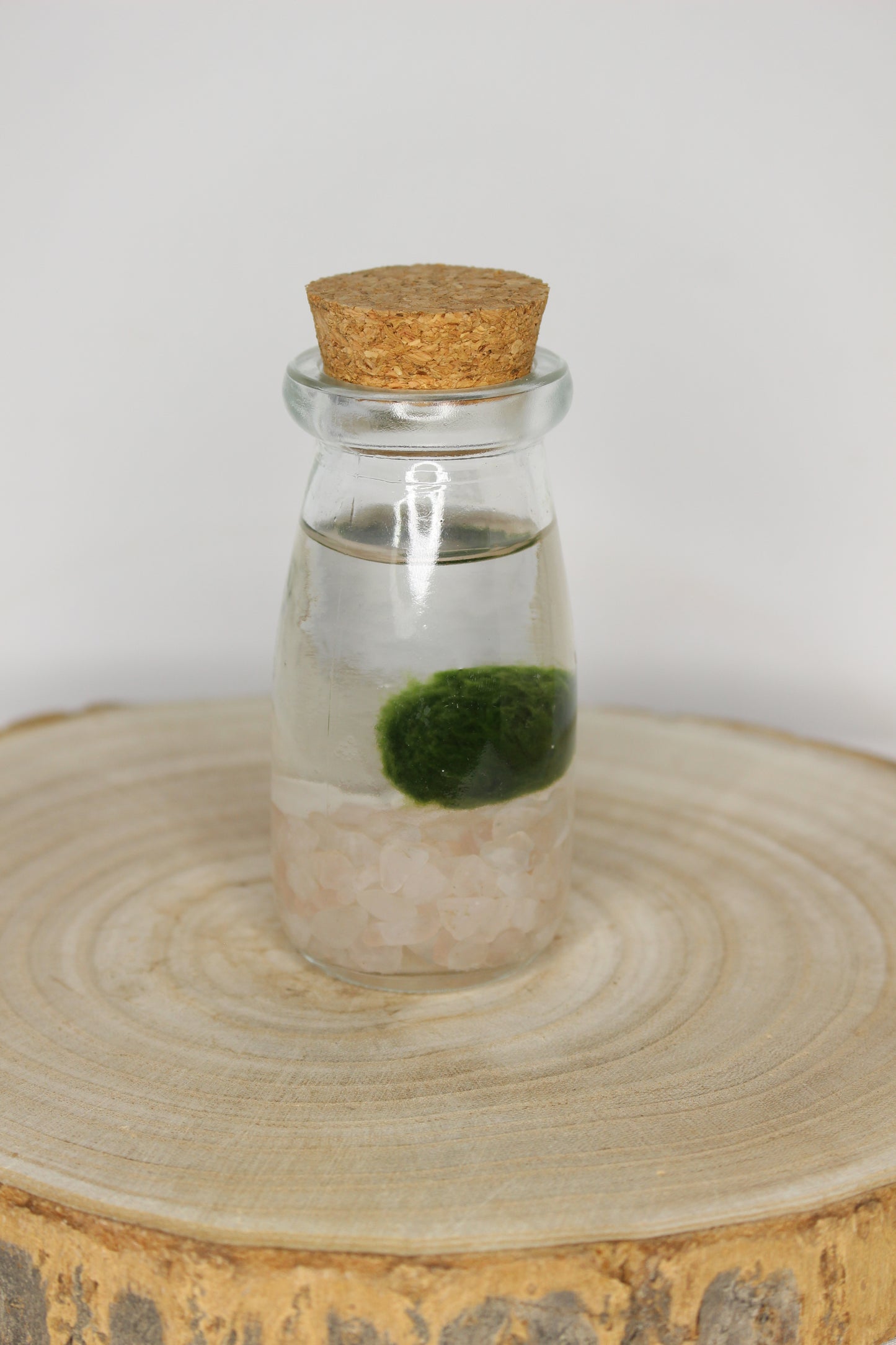 Marimo Mini Akan Cuarzo Rosa