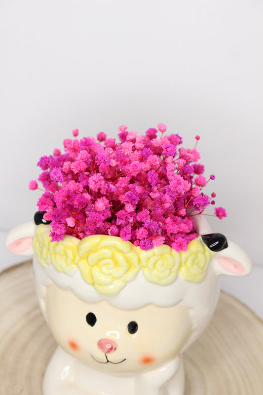 Jarroncito Oveja + Paniculata Preservada