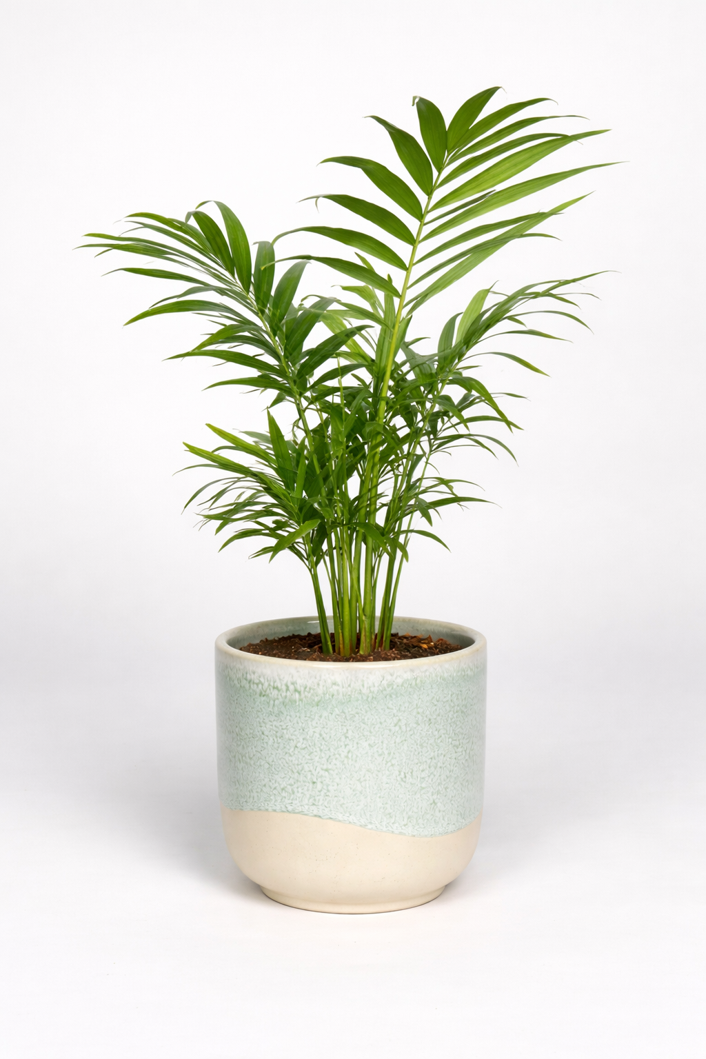 Macetero Porcelana Verde - 10 cm