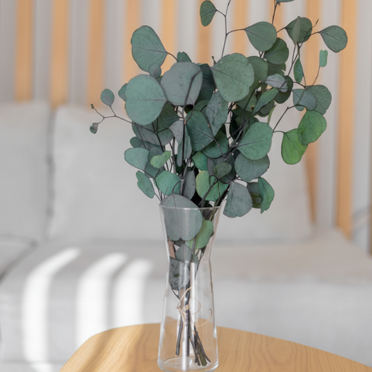 rama-eucaliptus-decoracion