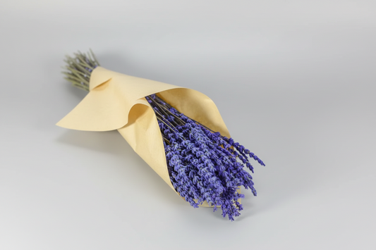 ramillete-lavanda-preservada