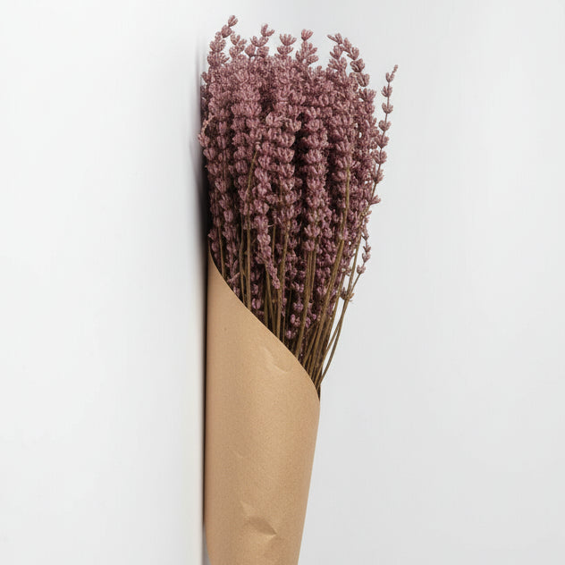 lavanda-fucsia-preservada