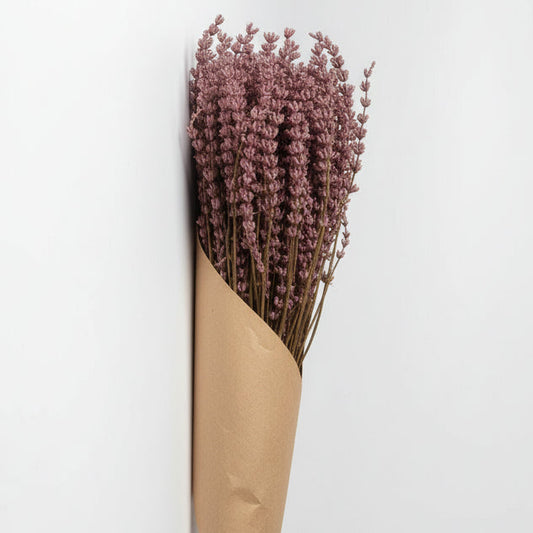 lavanda-fucsia-preservada