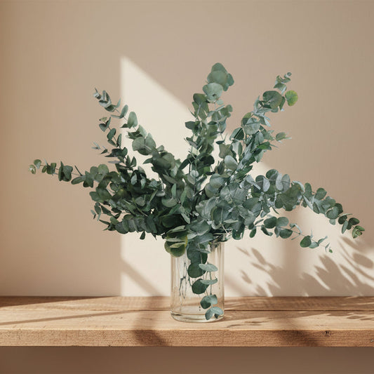 eucaliptus-ramo-interior