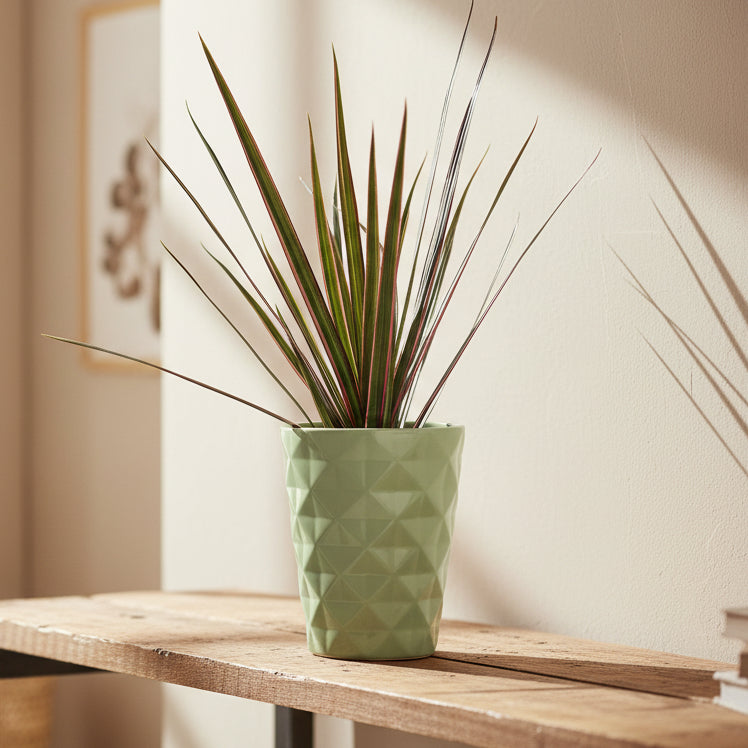 maceta-verde-pastel-12cm