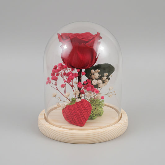 Rosa eterna roja preservada en cúpula de cristal para regalo Sant Jordi
