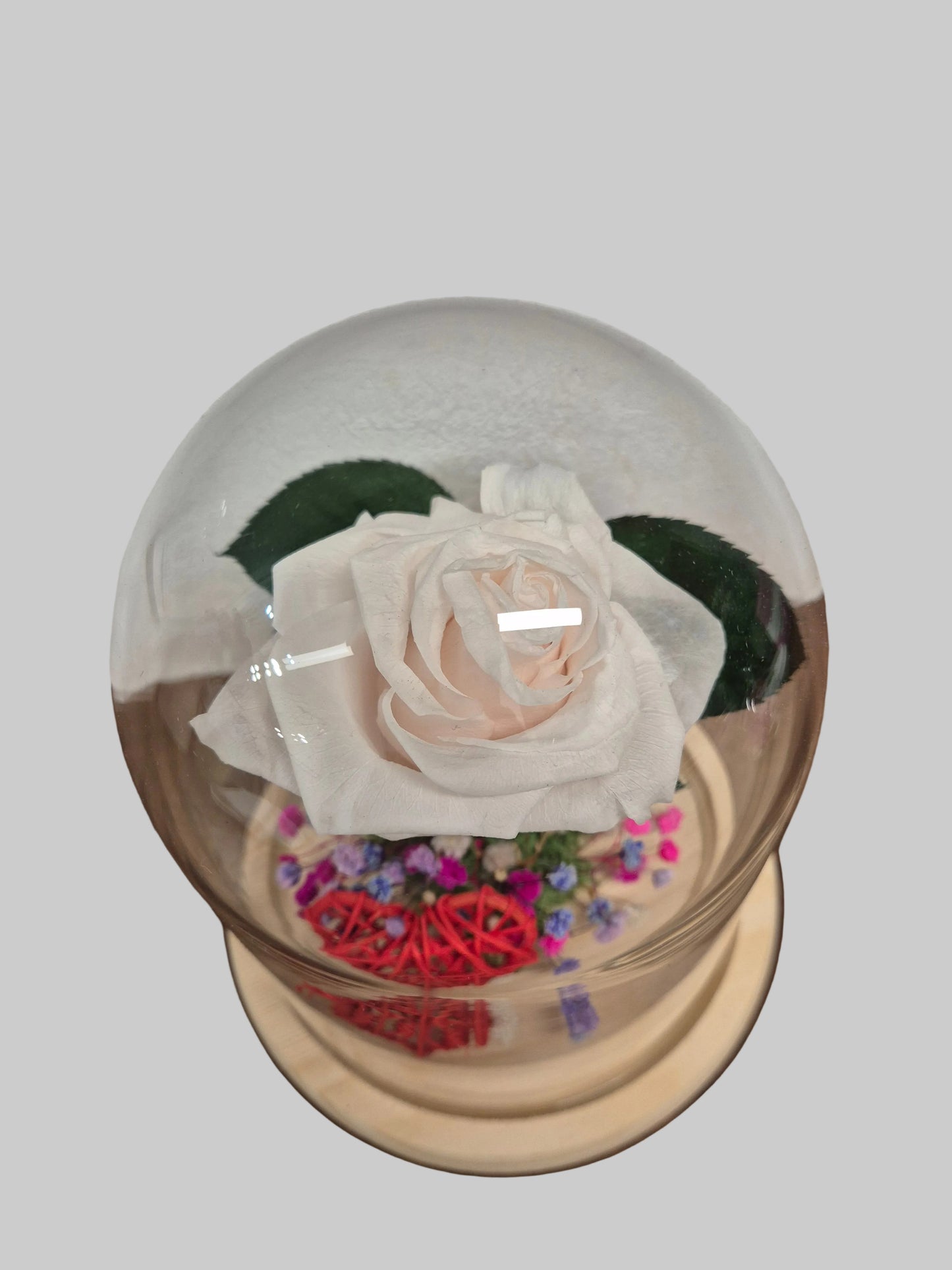 rosa-preservada-crema
