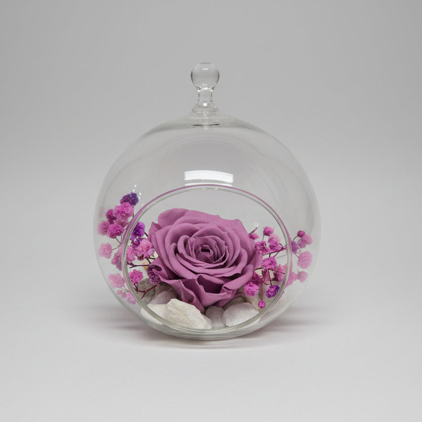 cupula-rosa-lavanda